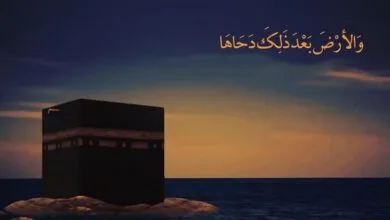 62636824.jpg