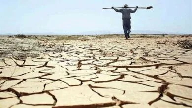 خشکسالی ۴۰ همتی بزرگ‌ترین خسارت سال‌های اخیر کشاورزی خوزستان بود