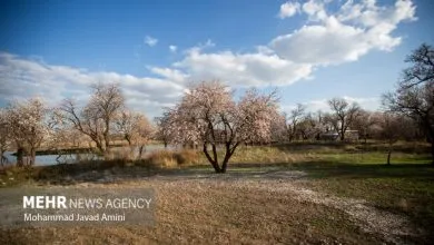 تشدید برخورد با ساخت‌وسازهای غیرمجاز در باغستان سنتی قزوین
